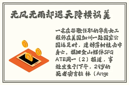 4080影视觉大全